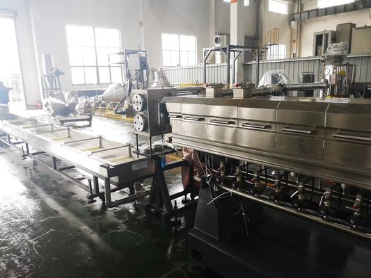 Co-rotating Twin screw extruder PP Melt-blown compounding line for non-woven fabric for face mask